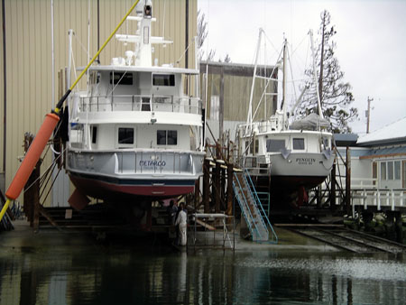 Nordhavn Pic